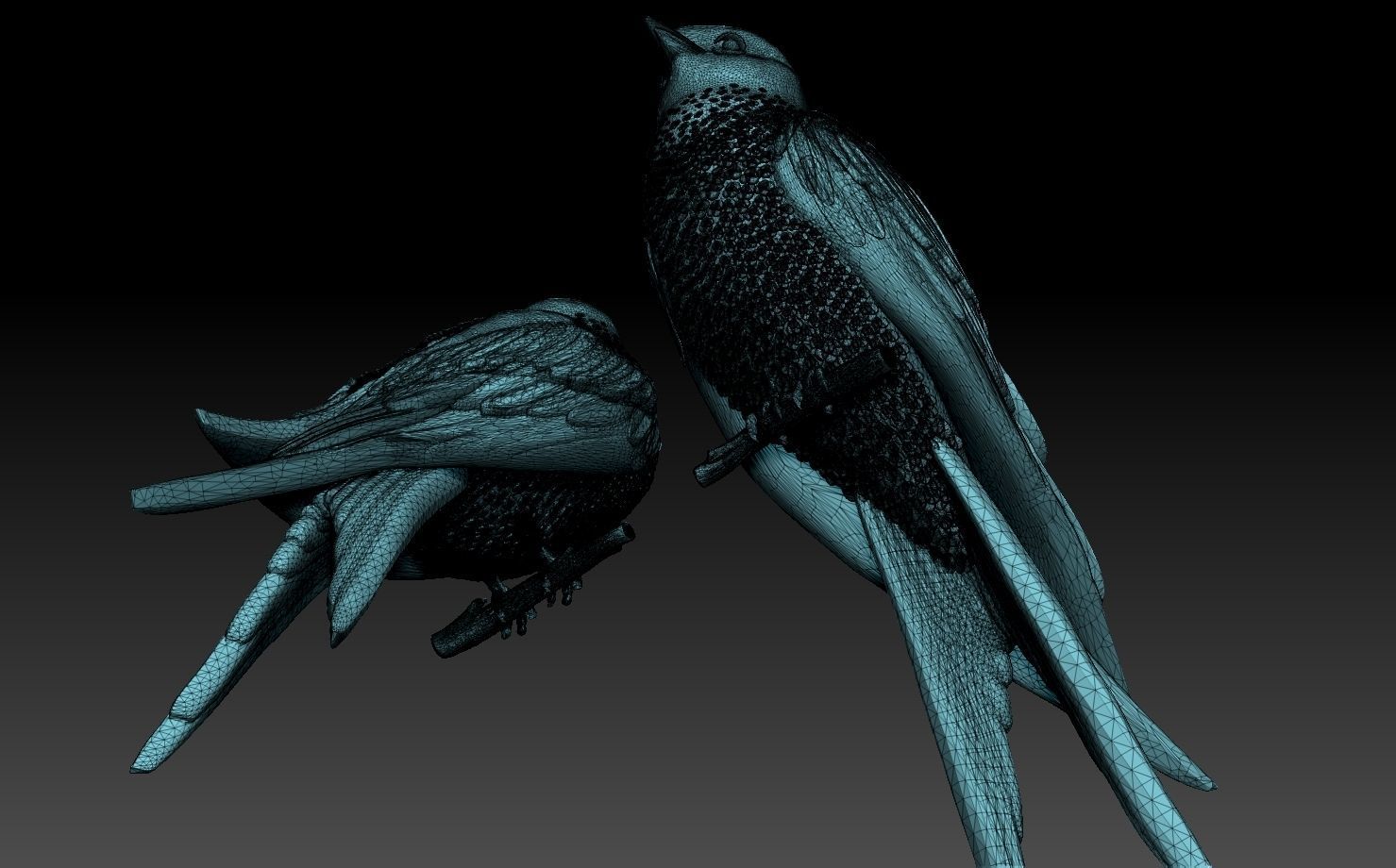 swallow two birds perched on branch 3D print model_41
