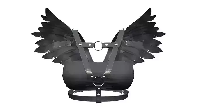 Tube Bralet Top With Straps and Black Feathers Wing