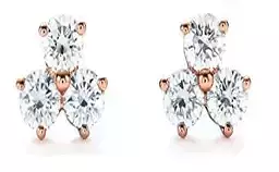 CG363 dandelion flowers