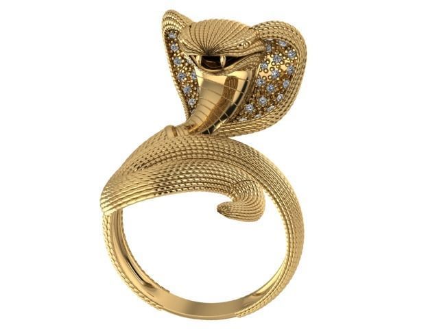 An 2461 Naja cravejada  3D print model_1