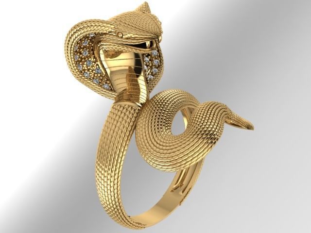 An 2461 Naja cravejada  3D print model_3