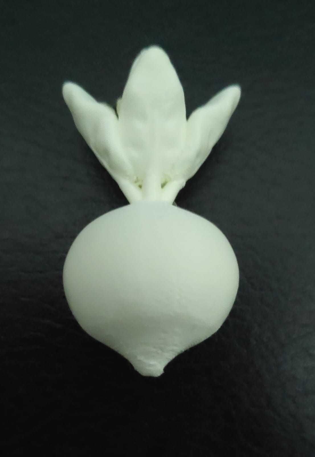 Cute Beet 3D print model_4
