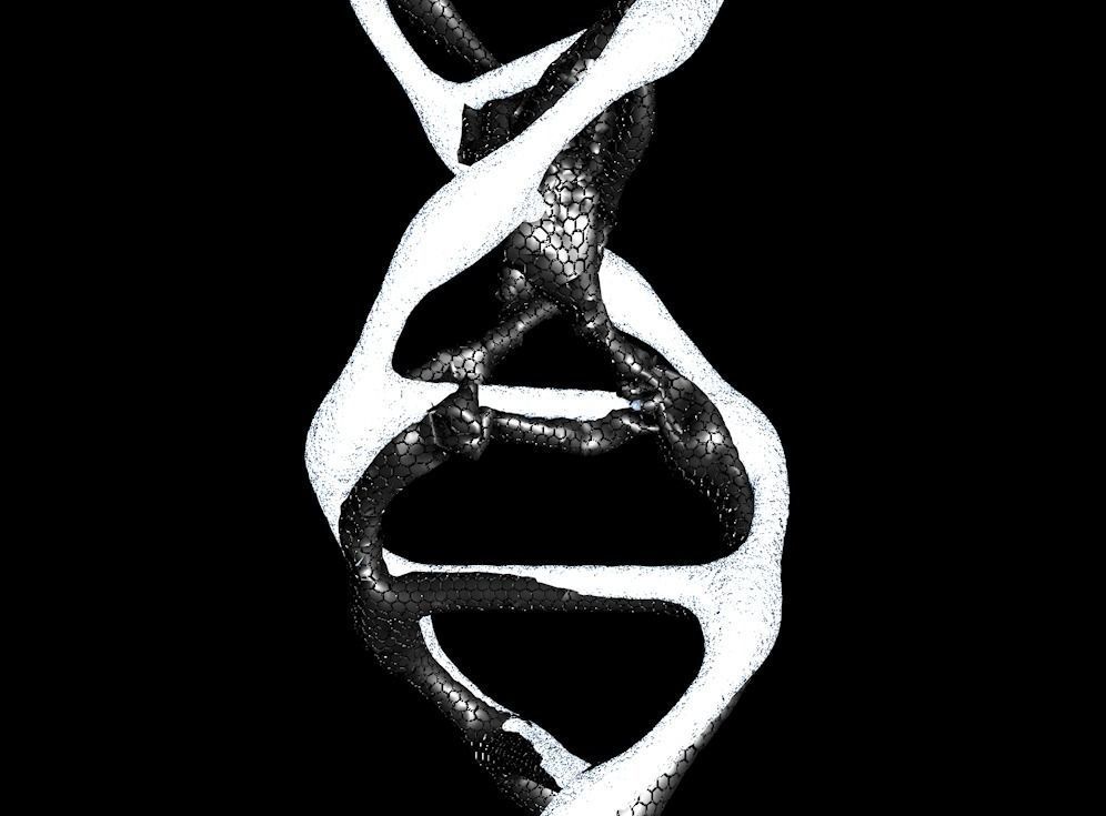 dna 3d model strand 3D model_3