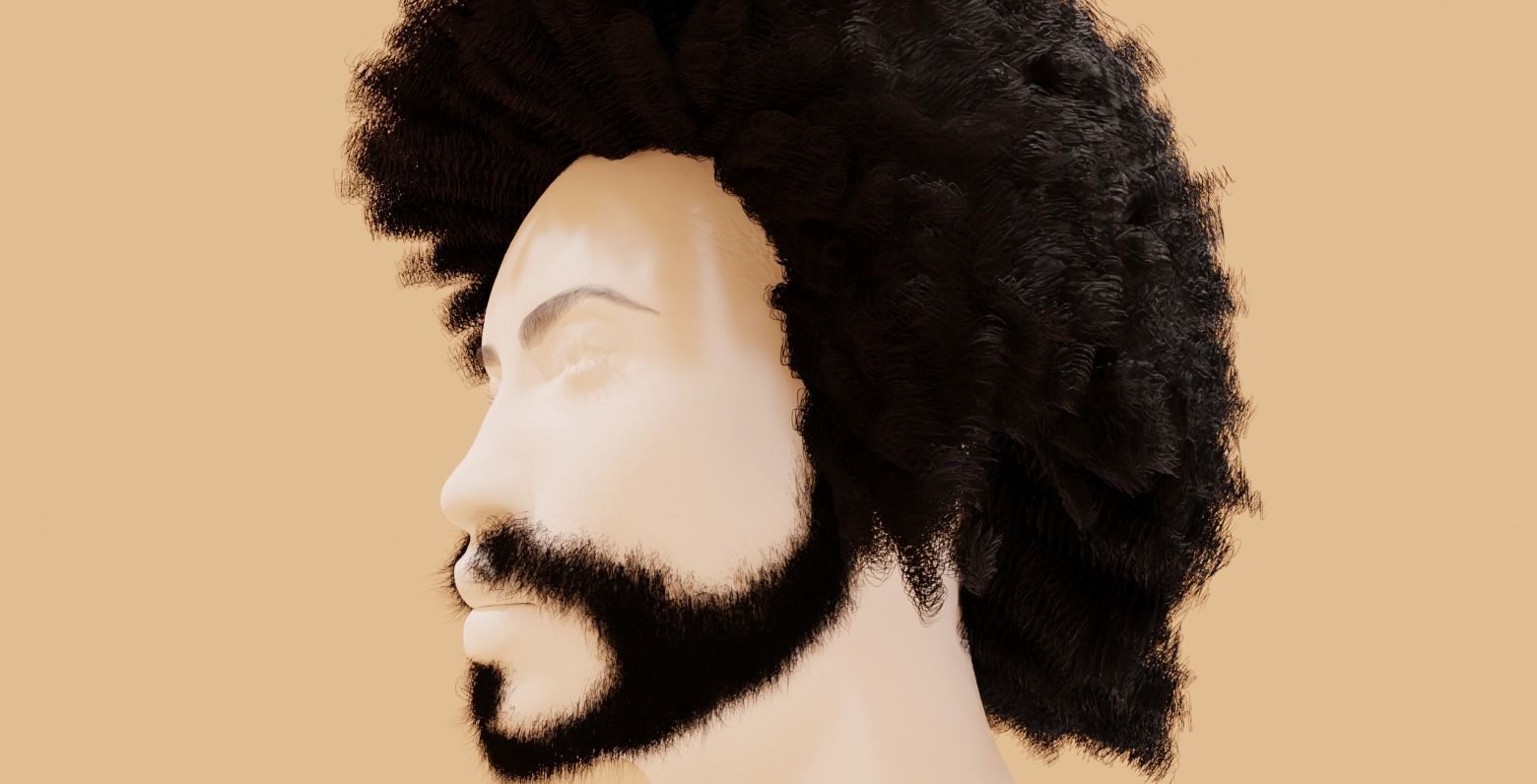Man with afro and short beard 3D model_14