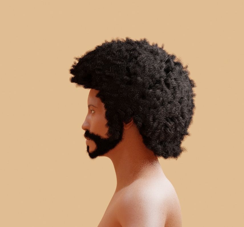 Man with afro and short beard 3D model_3