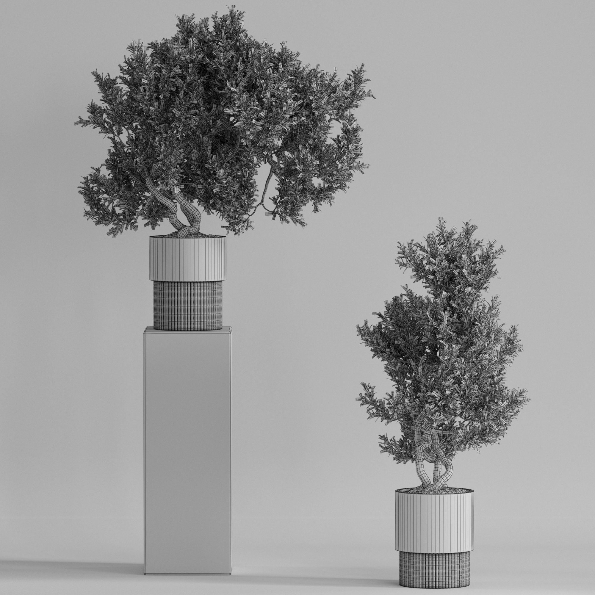 Plants collection 735 3D model_4