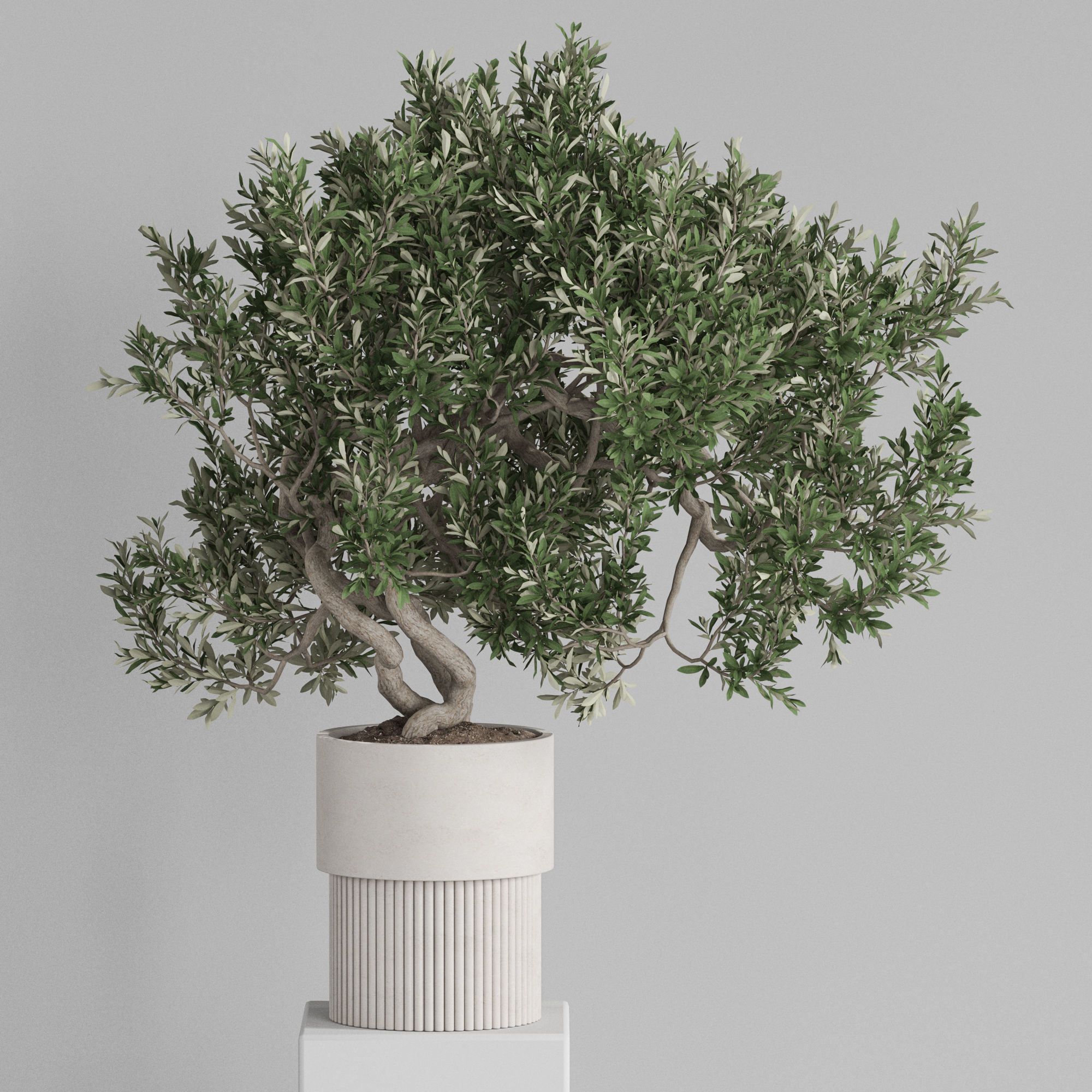 Plants collection 735 3D model_5