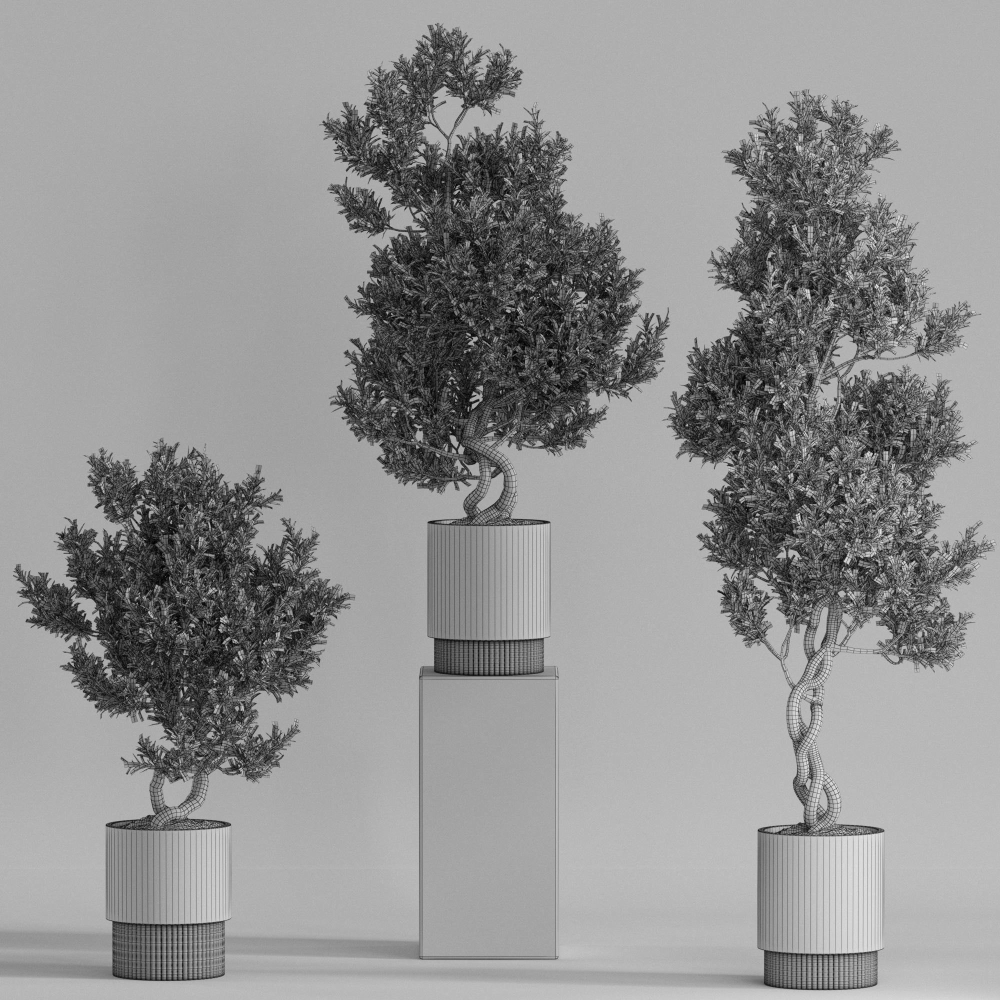 Plants collection 735 3D model_3