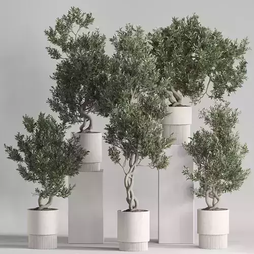 Plants collection 735 3D model