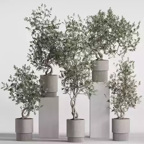 Plants collection 736 3D model