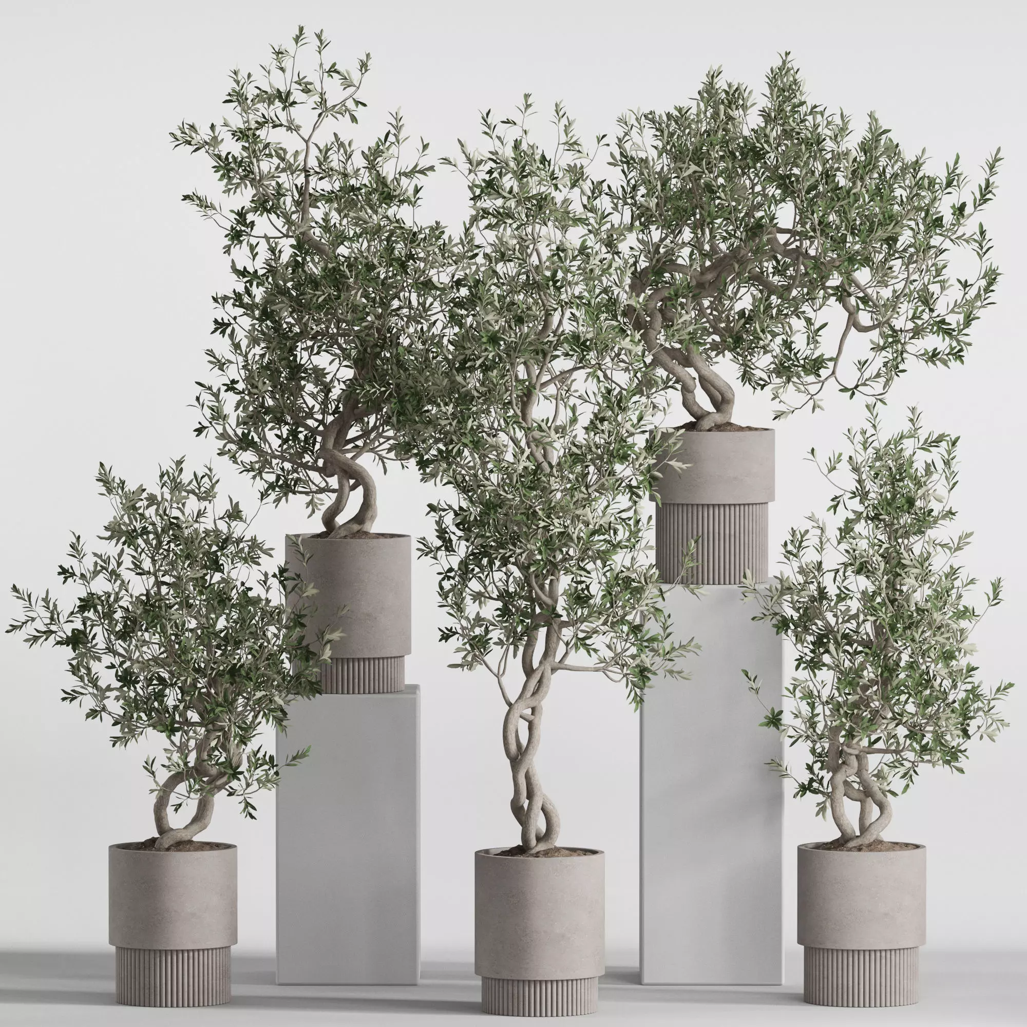 Plants collection 736 3D model_0