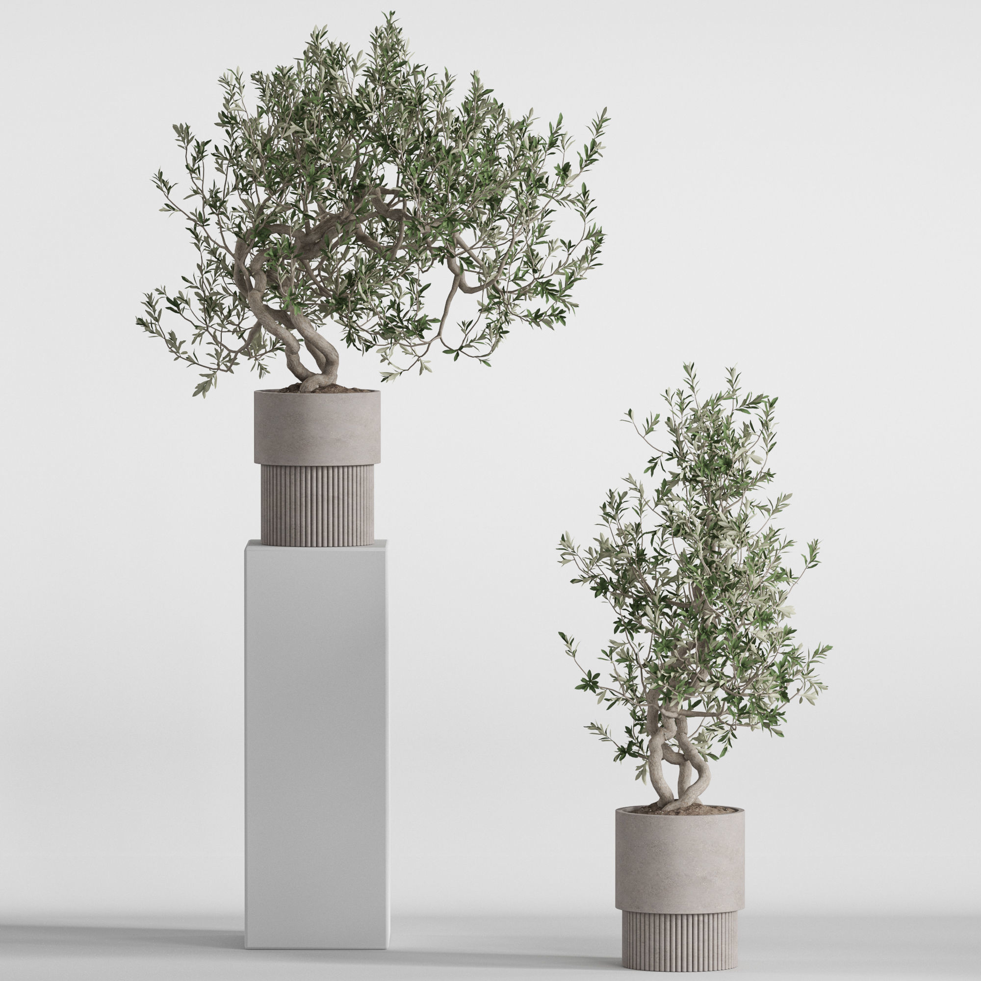 Plants collection 736 3D model_2