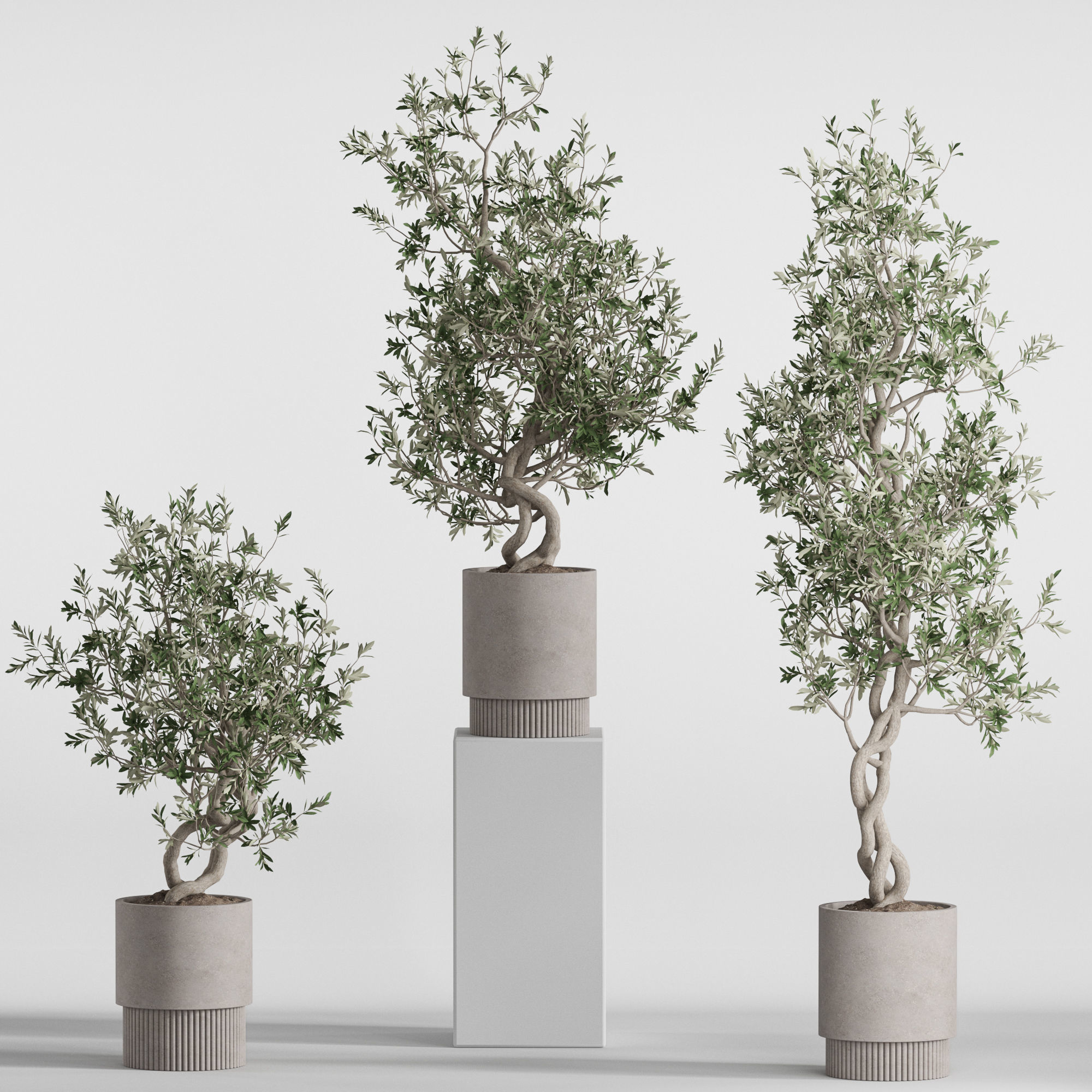 Plants collection 736 3D model_1