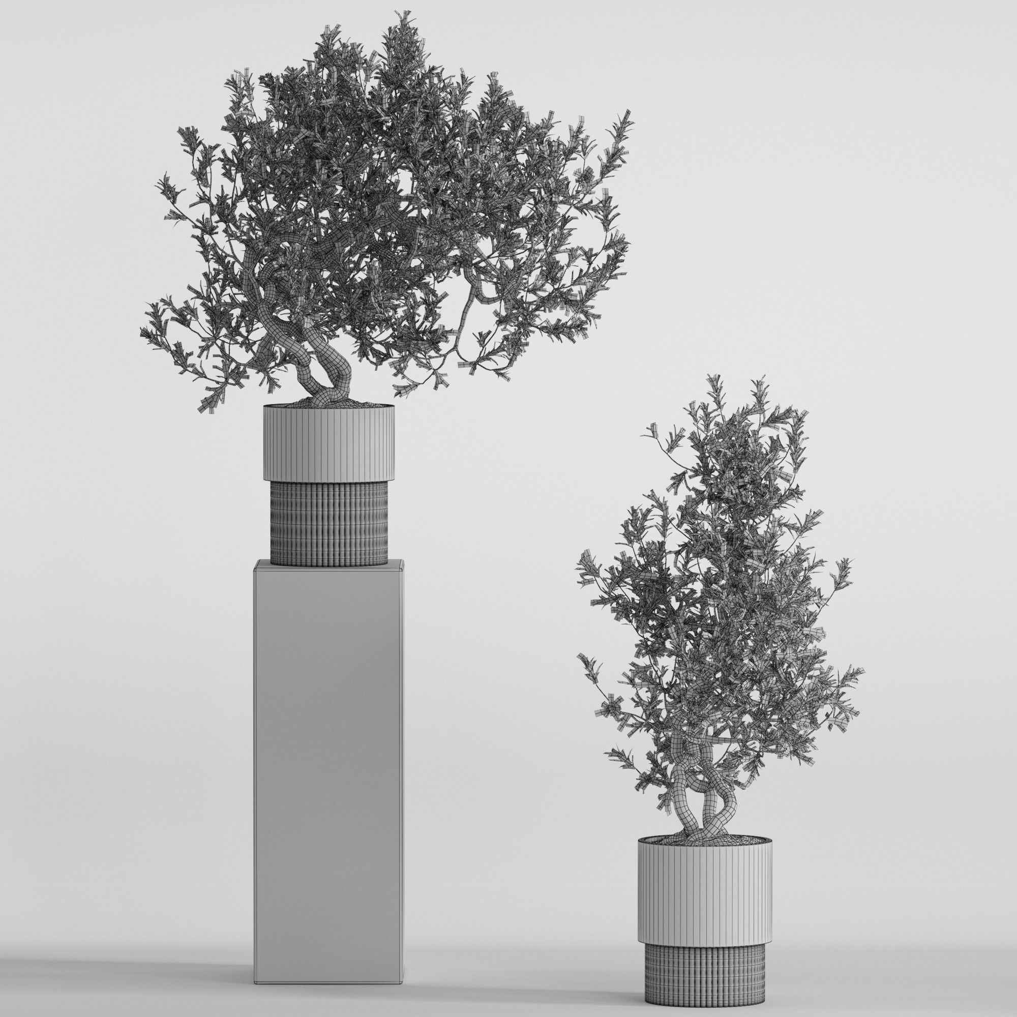 Plants collection 736 3D model_4
