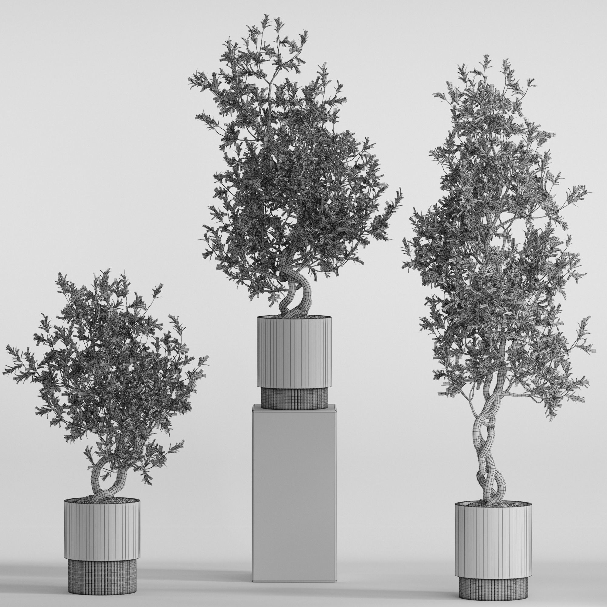 Plants collection 736 3D model_3