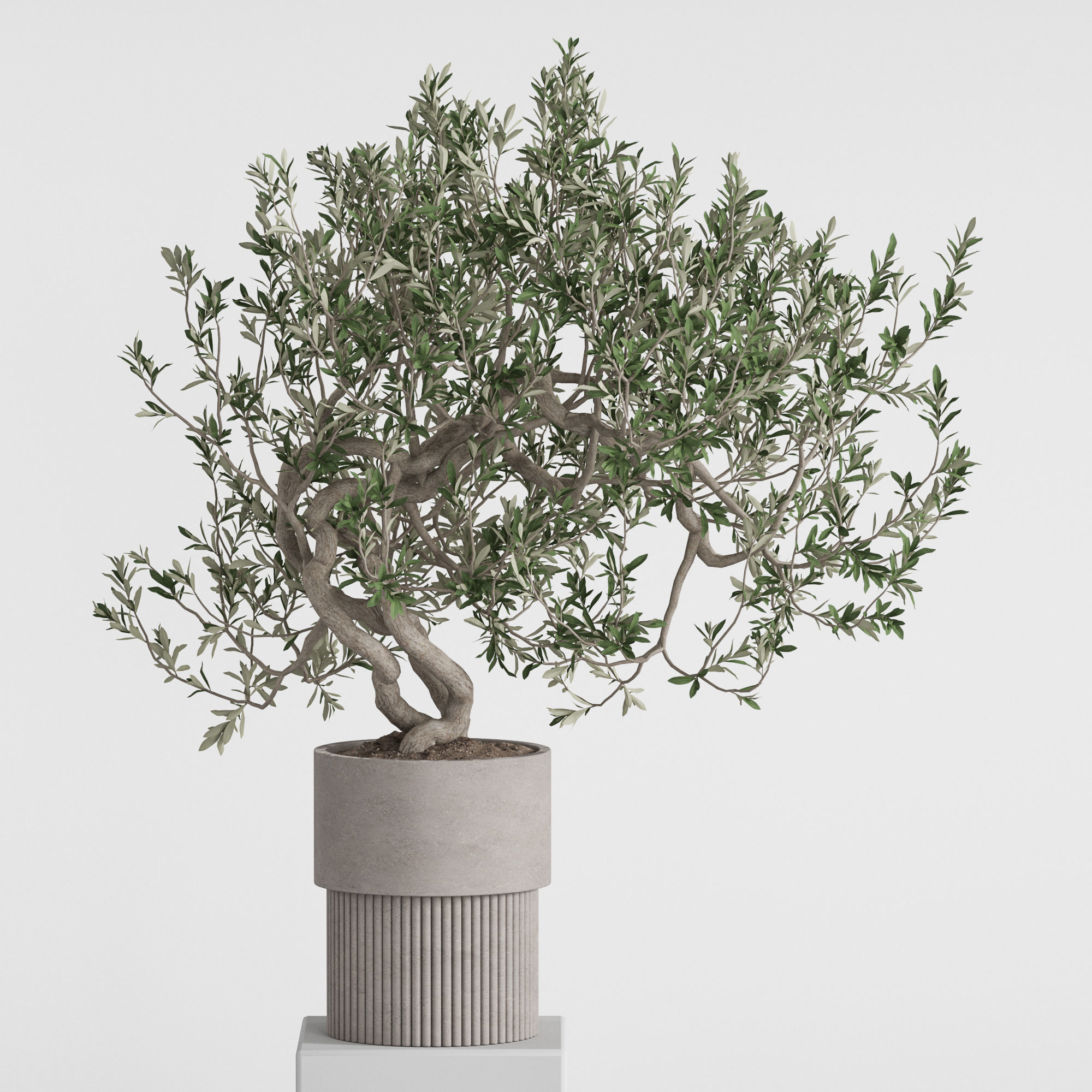 Plants collection 736 3D model_5