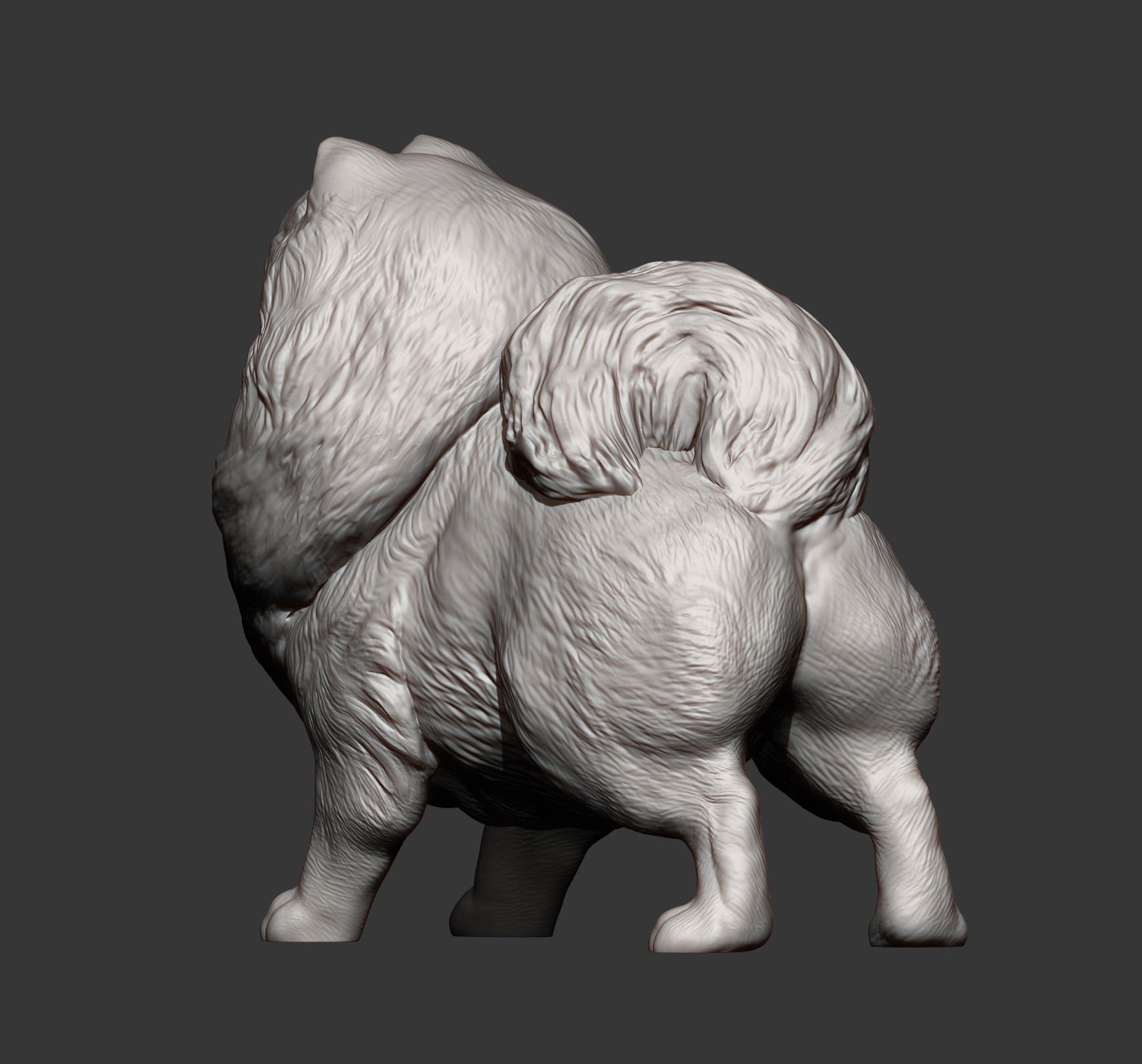 Pomeranian figurine 3D print model_11