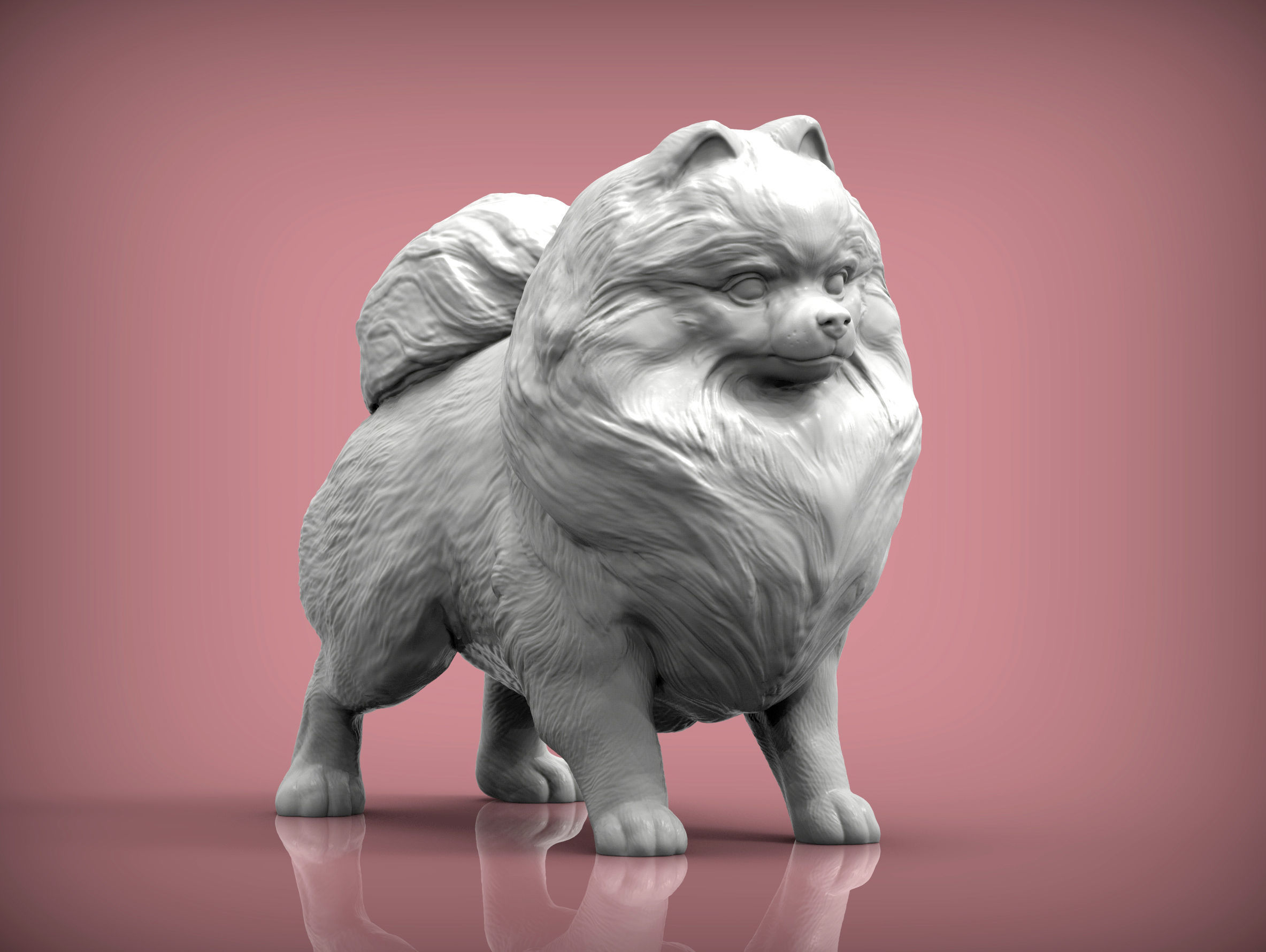 Pomeranian figurine 3D print model_2