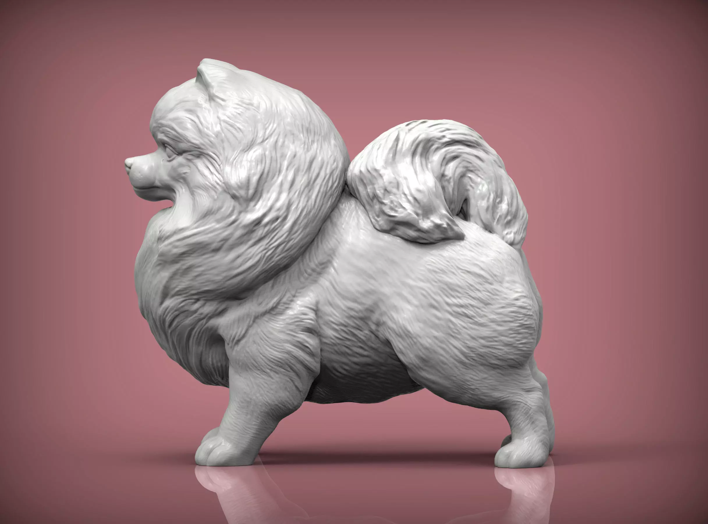 Pomeranian figurine 3D print model_0