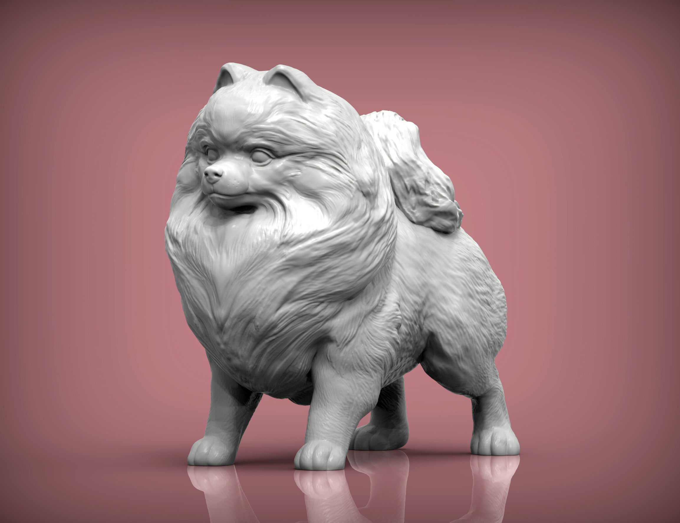 Pomeranian figurine 3D print model_1