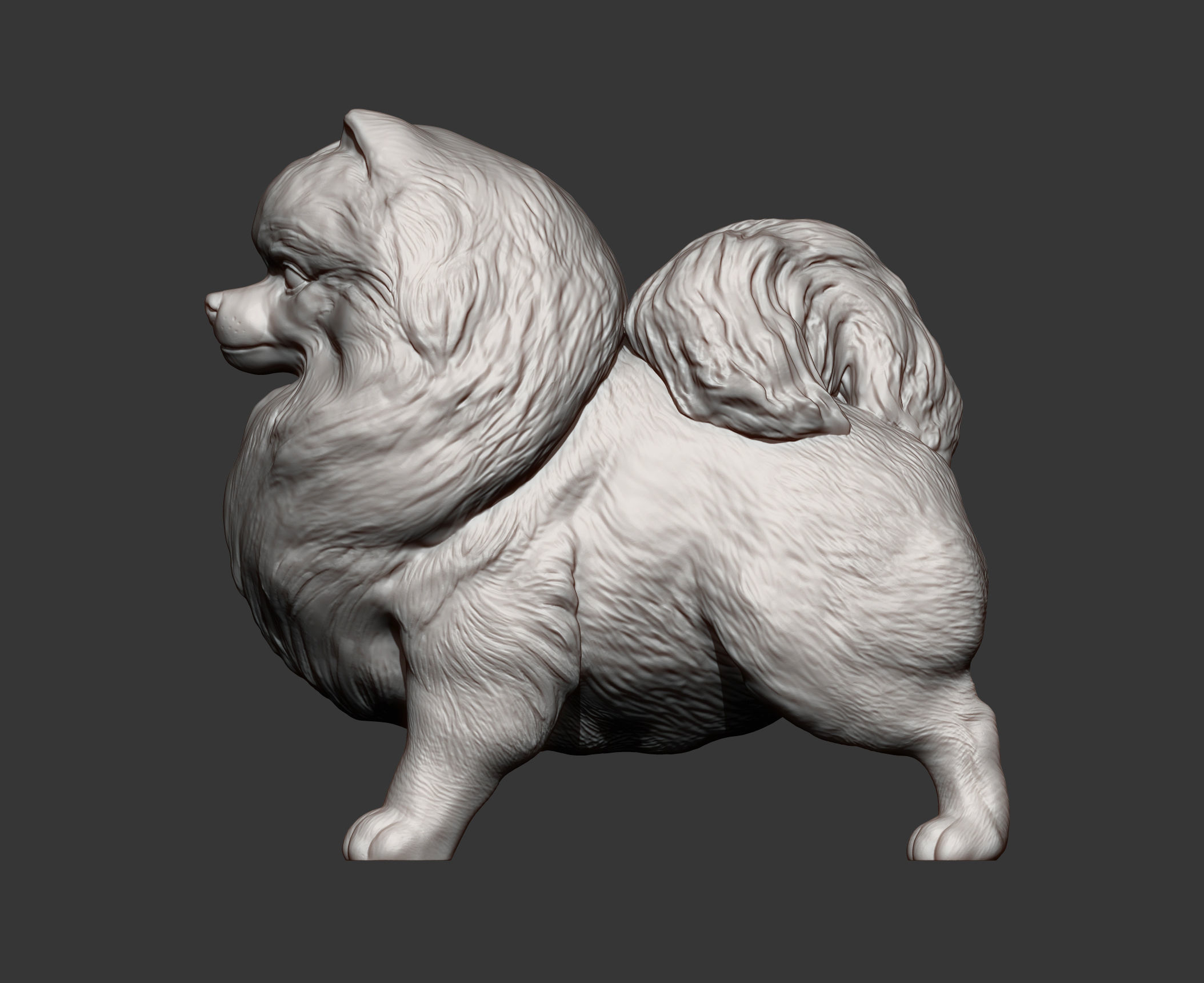 Pomeranian figurine 3D print model_7