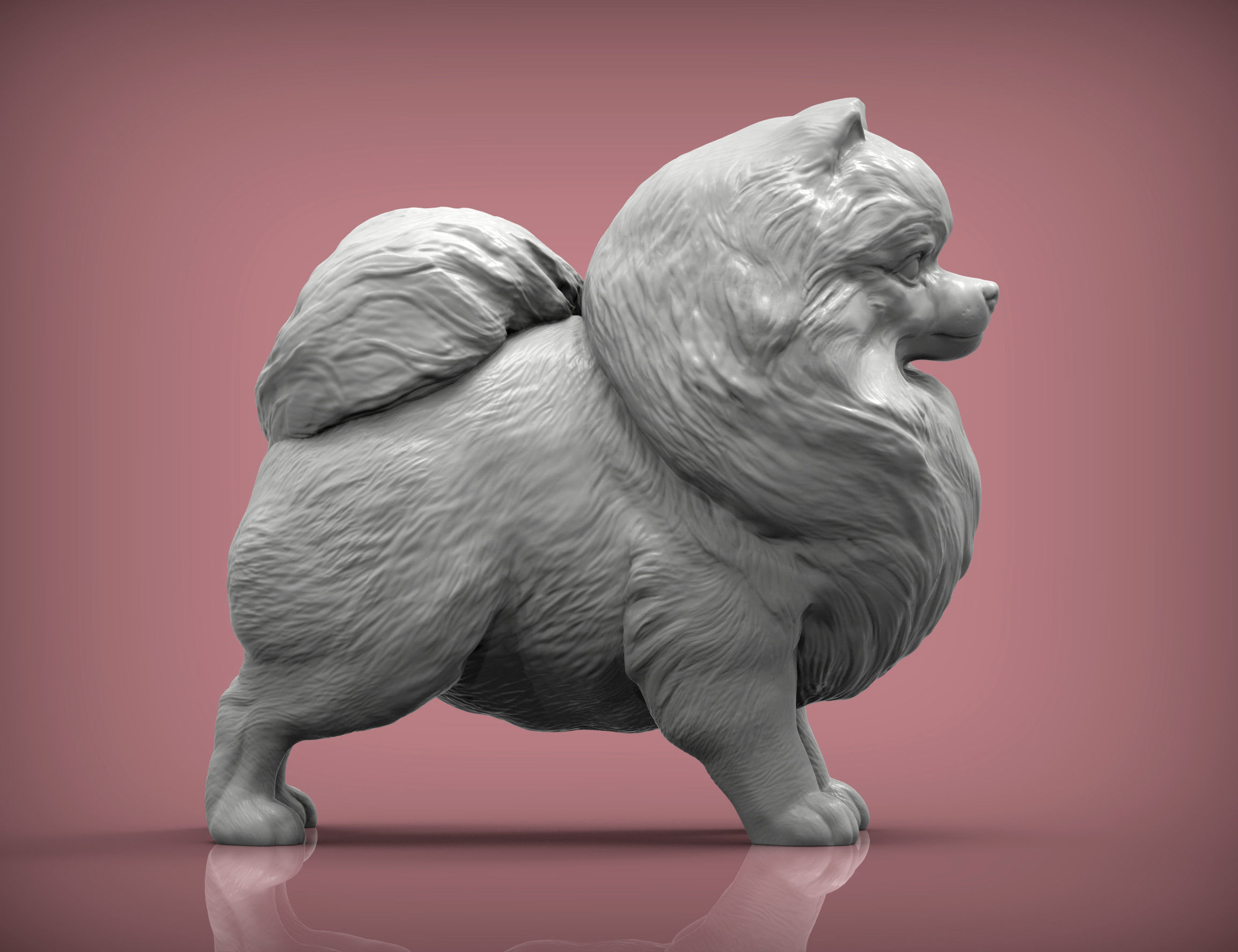 Pomeranian figurine 3D print model_3