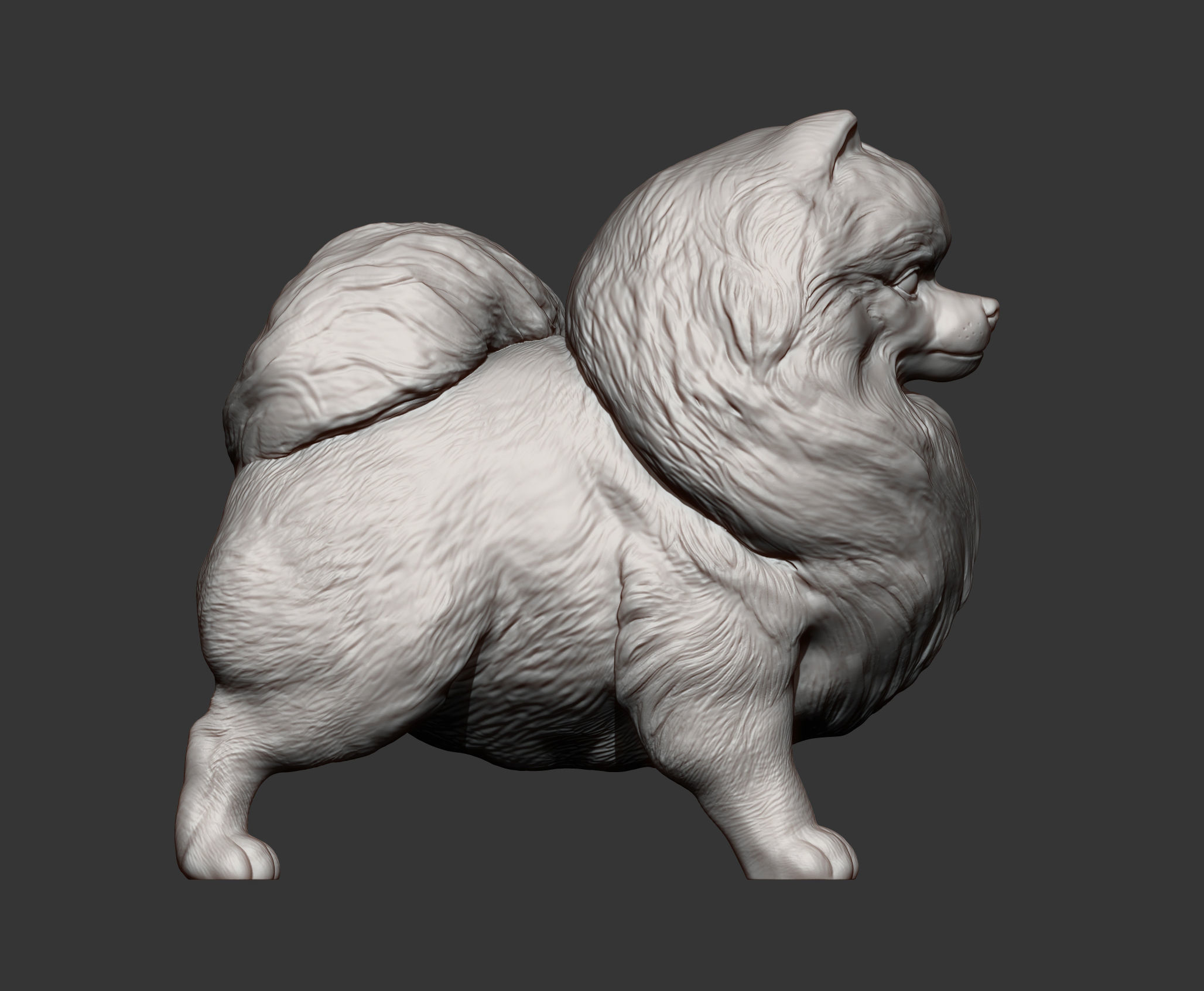 Pomeranian figurine 3D print model_6