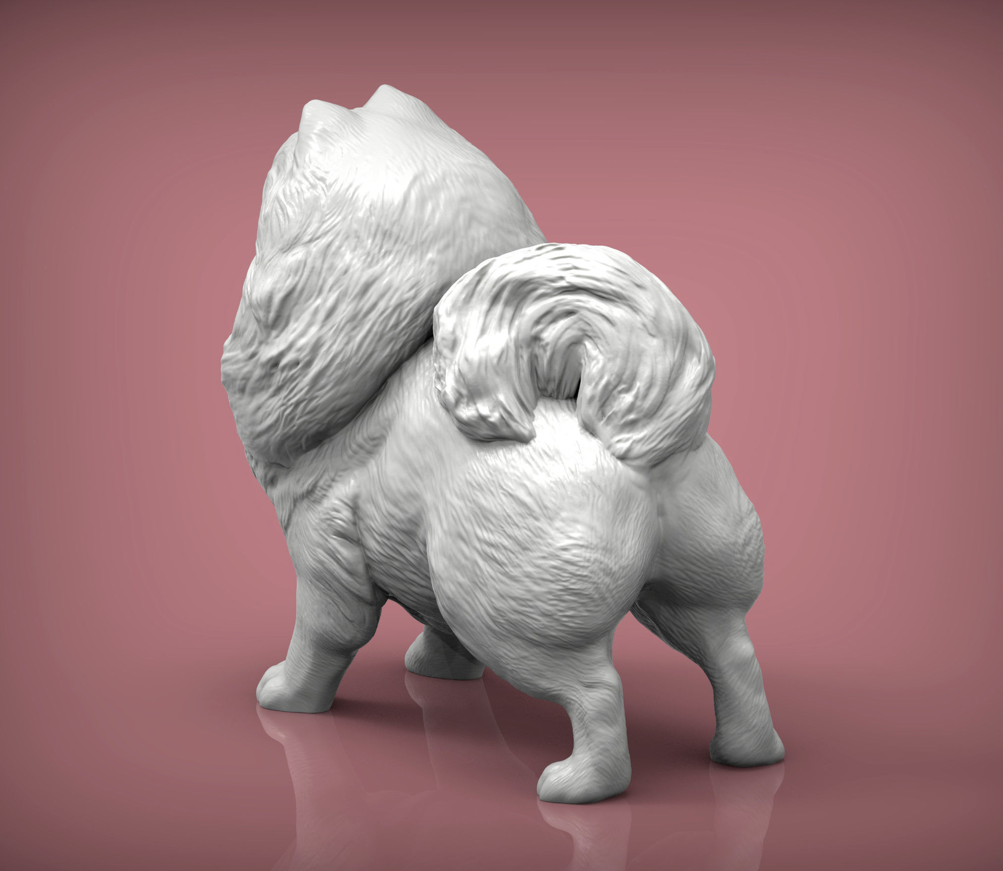 Pomeranian figurine 3D print model_5