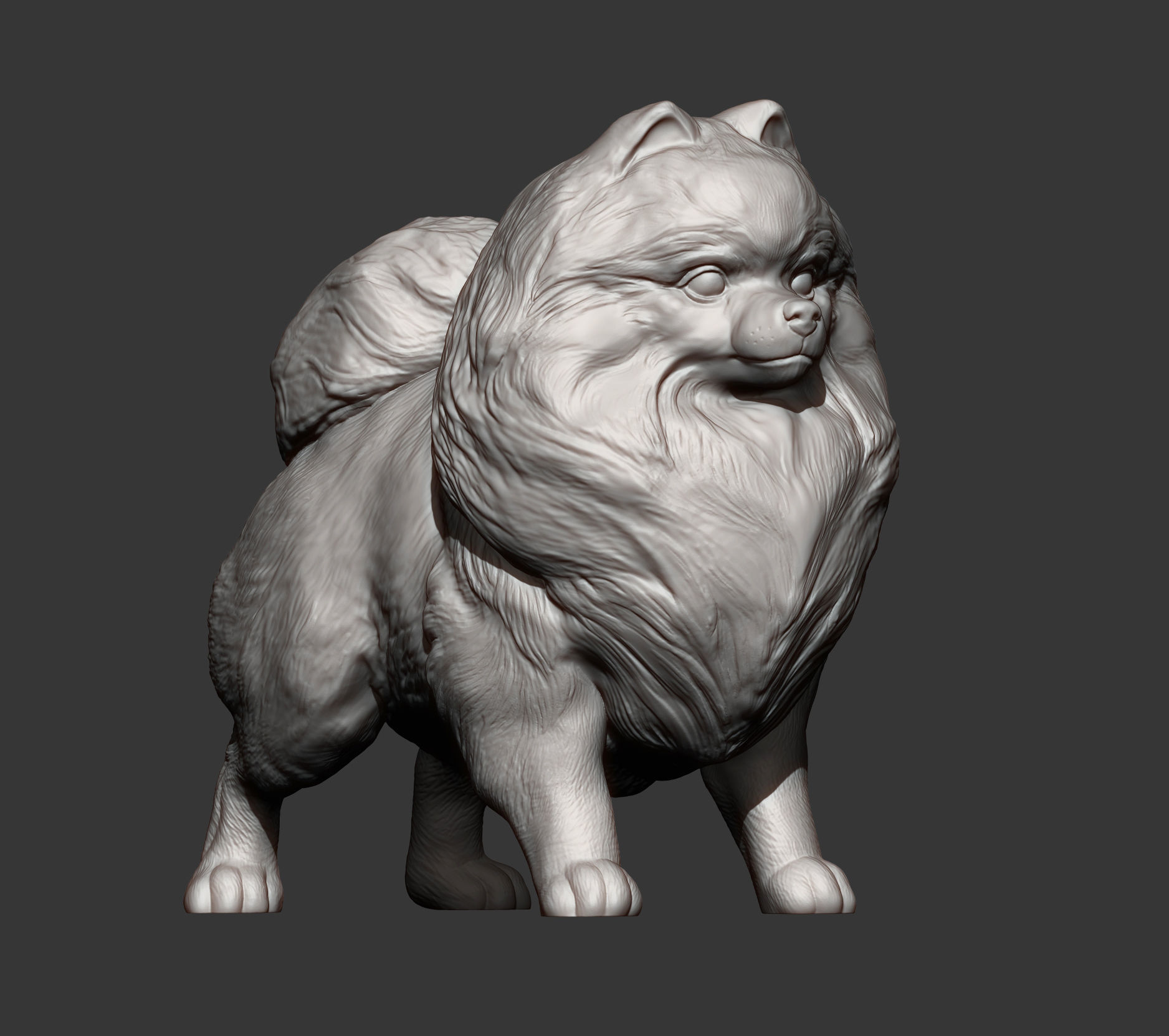 Pomeranian figurine 3D print model_9