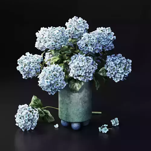 Hydrangea Blue