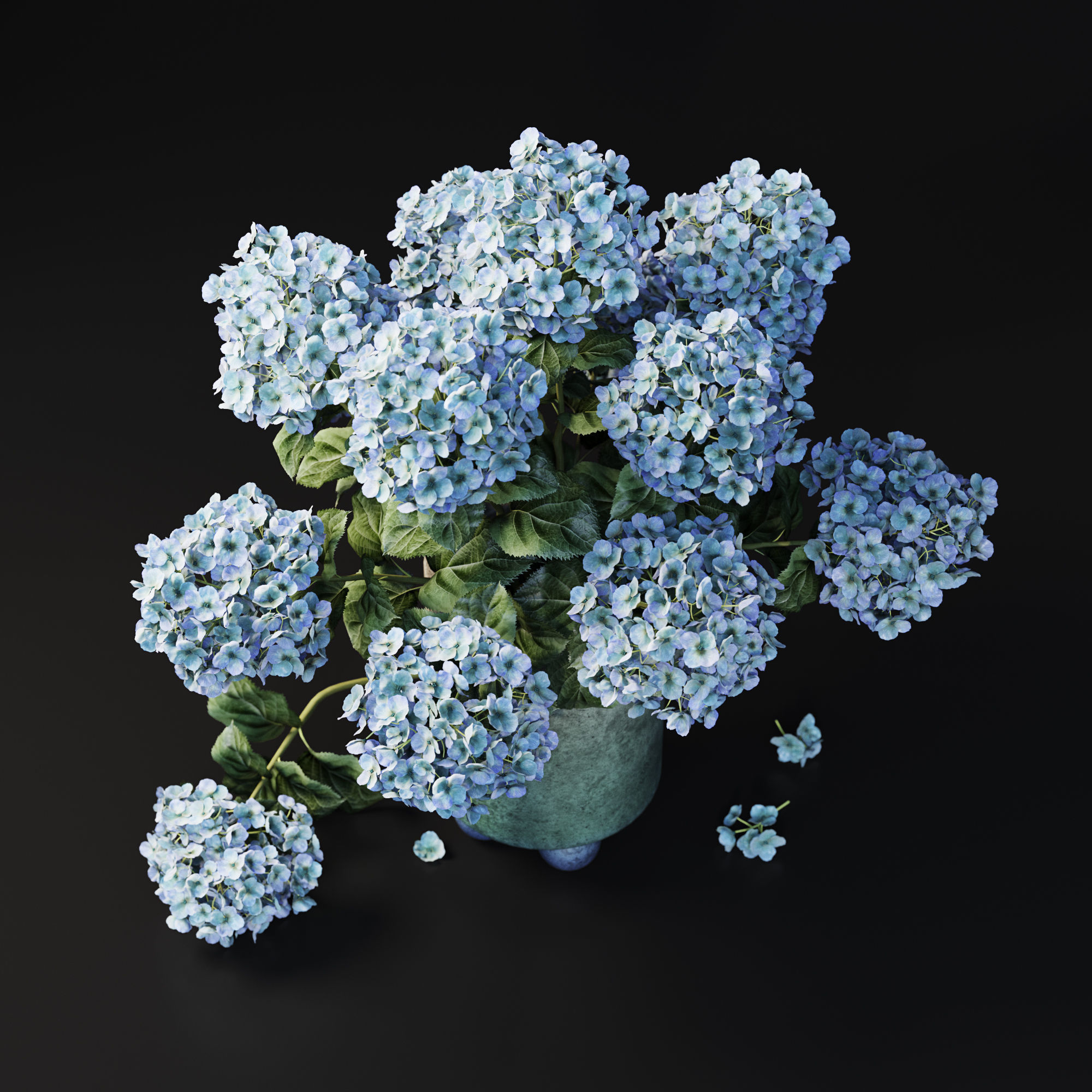Hydrangea Blue 3D model_5