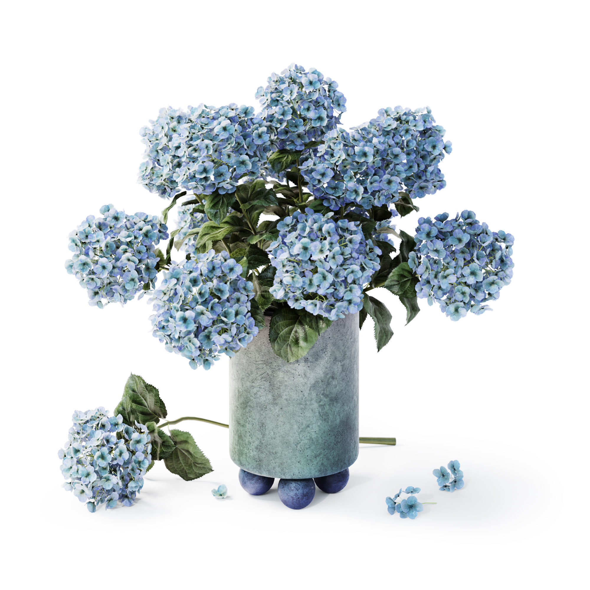 Hydrangea Blue 3D model_2