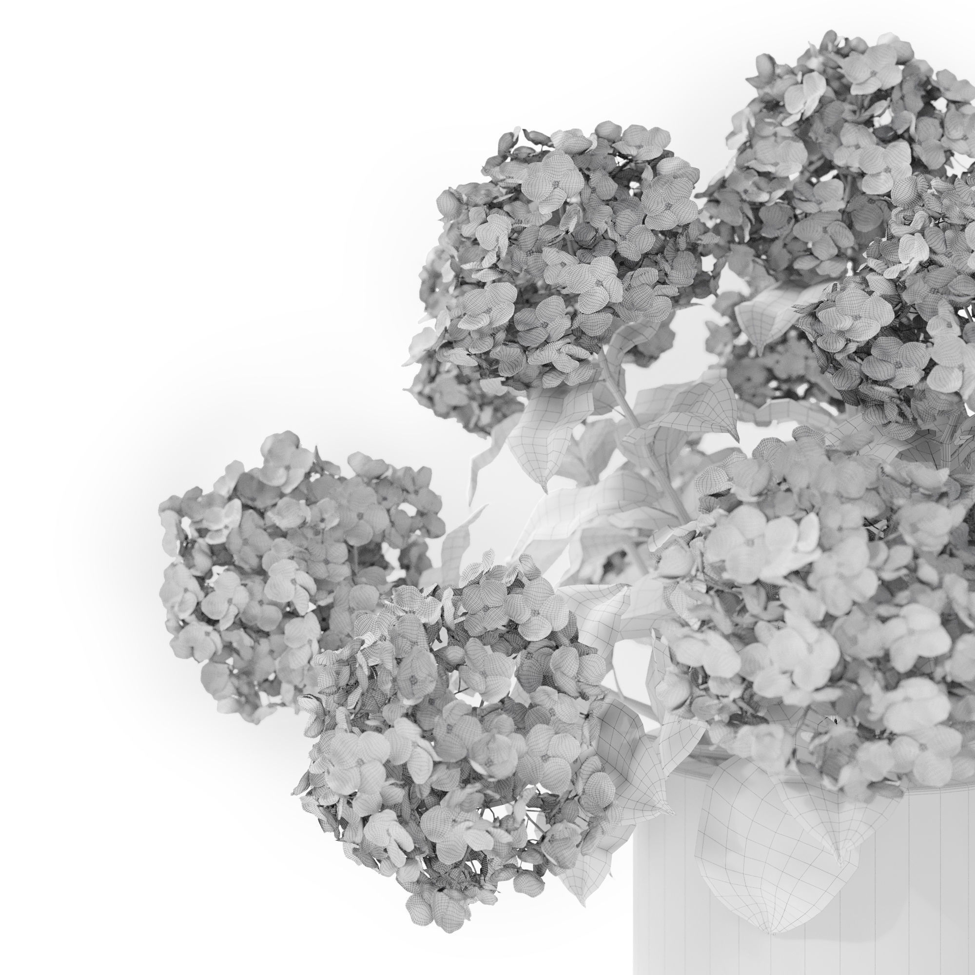 Hydrangea Blue 3D model_9