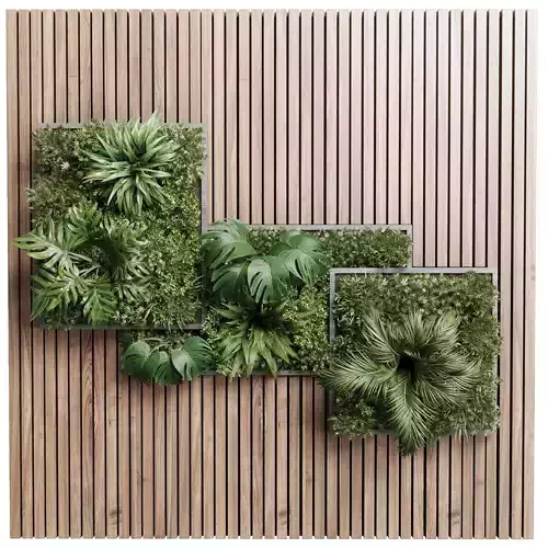 plants set partition in wooden frame Vertical graden