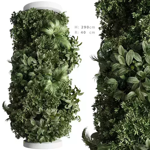 Column plant pillar plant 02