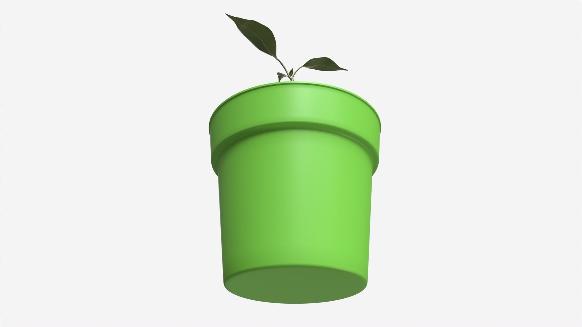 Decorative potted plant 12 3D model_2