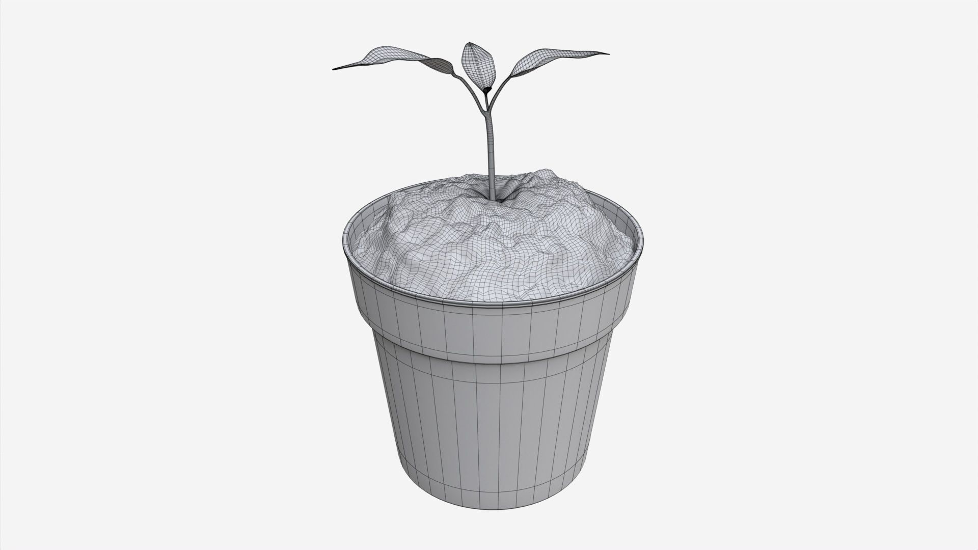 Decorative potted plant 12 3D model_5