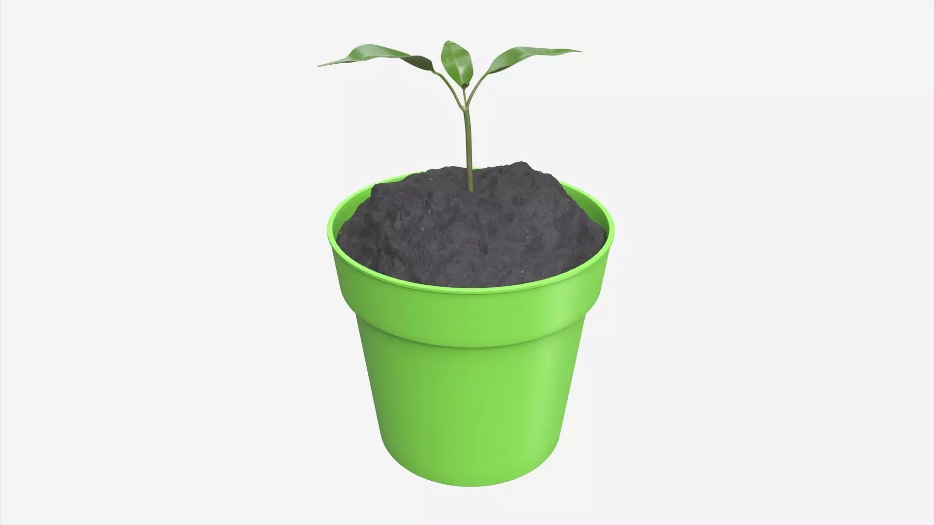 Decorative potted plant 12 3D model_0