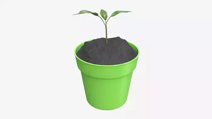 Decorative potted plant 12
