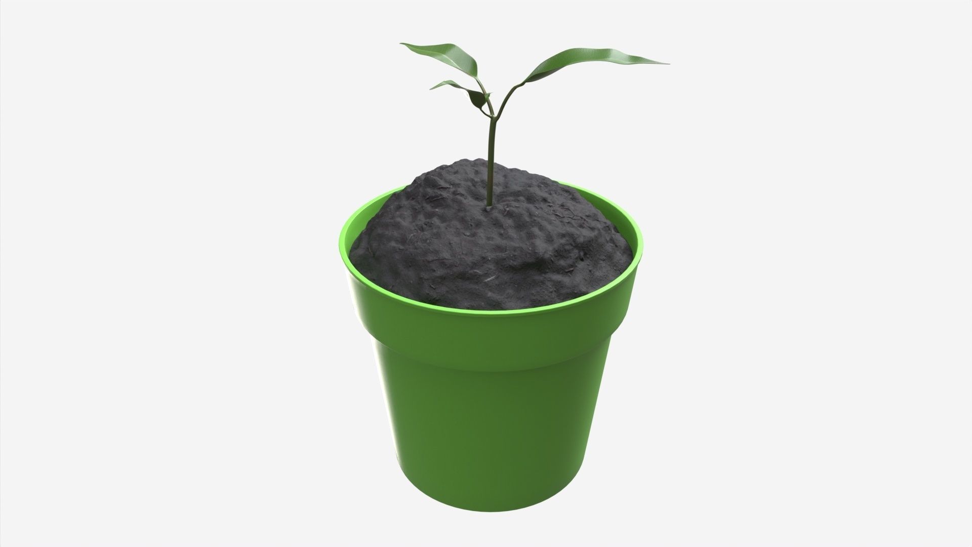 Decorative potted plant 12 3D model_1