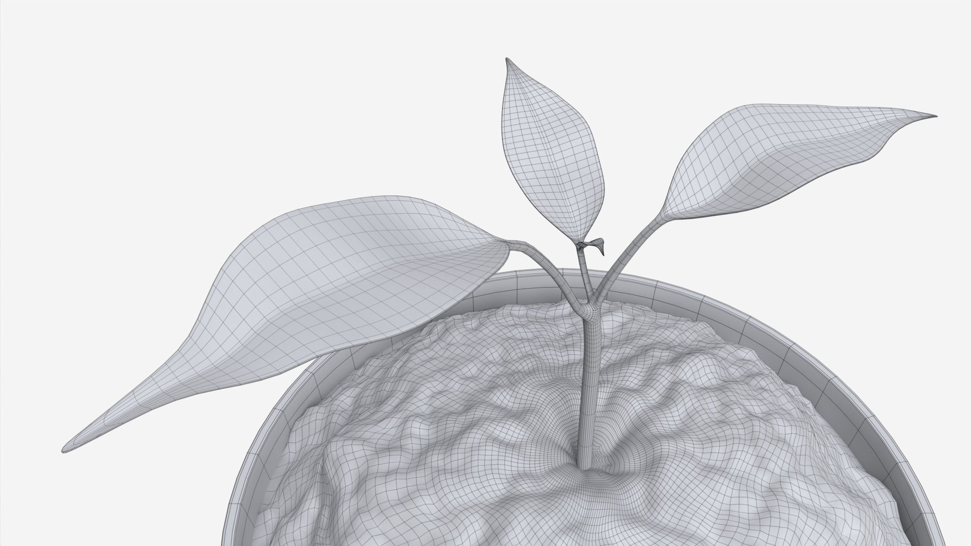 Decorative potted plant 12 3D model_6