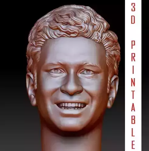 Sachin Tendulkar Head 3D print model
