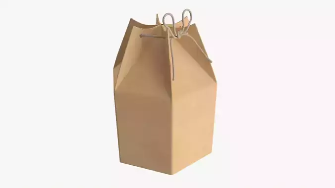 Hexagonal cardboard box with cord 3D model