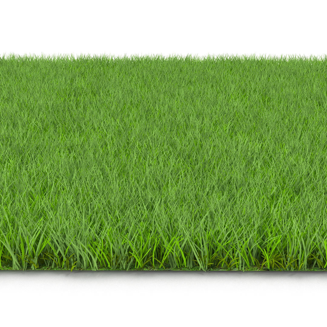 GRASS Low-poly 3D model_3