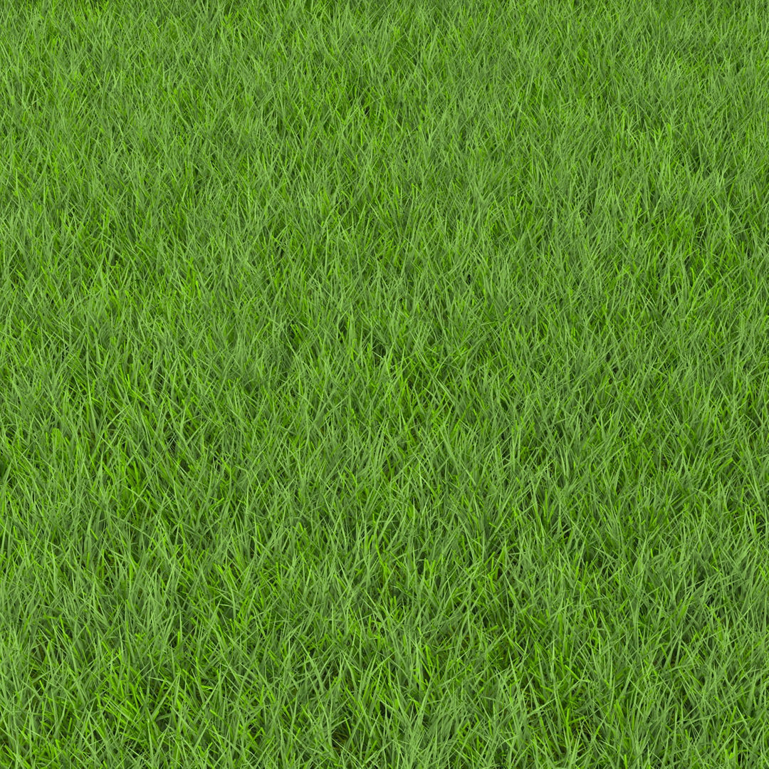 GRASS Low-poly 3D model_2