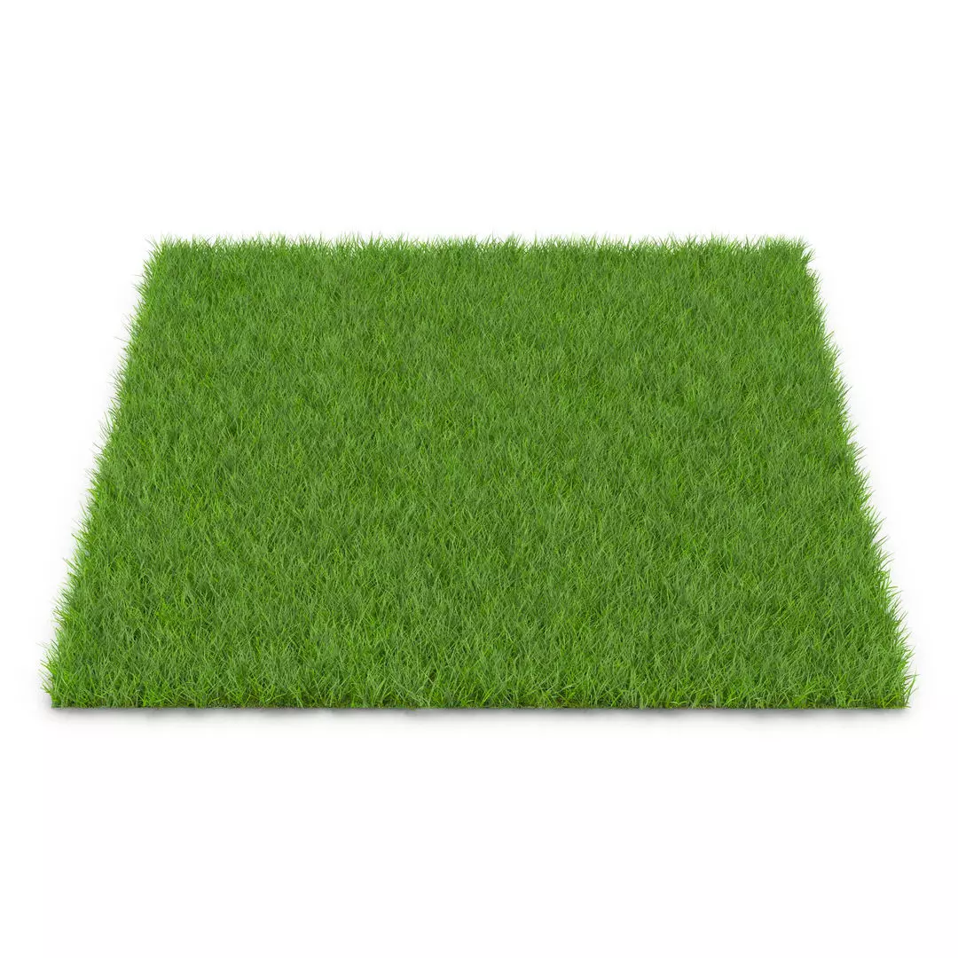 GRASS Low-poly 3D model_0