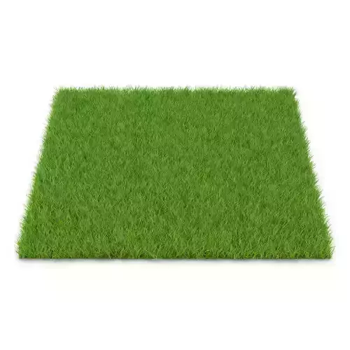GRASS Low-poly 3D model