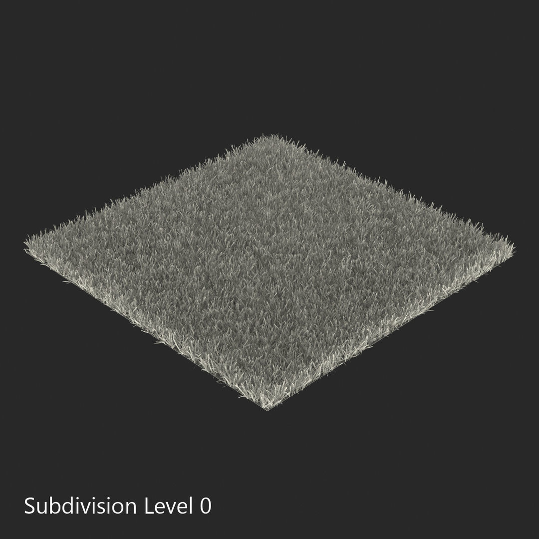 GRASS Low-poly 3D model_6