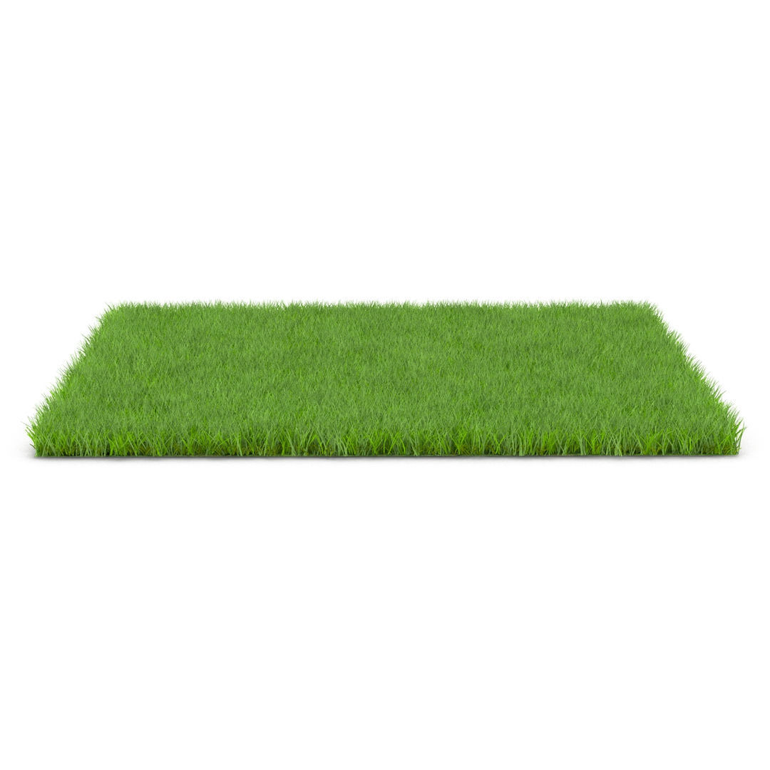 GRASS Low-poly 3D model_4