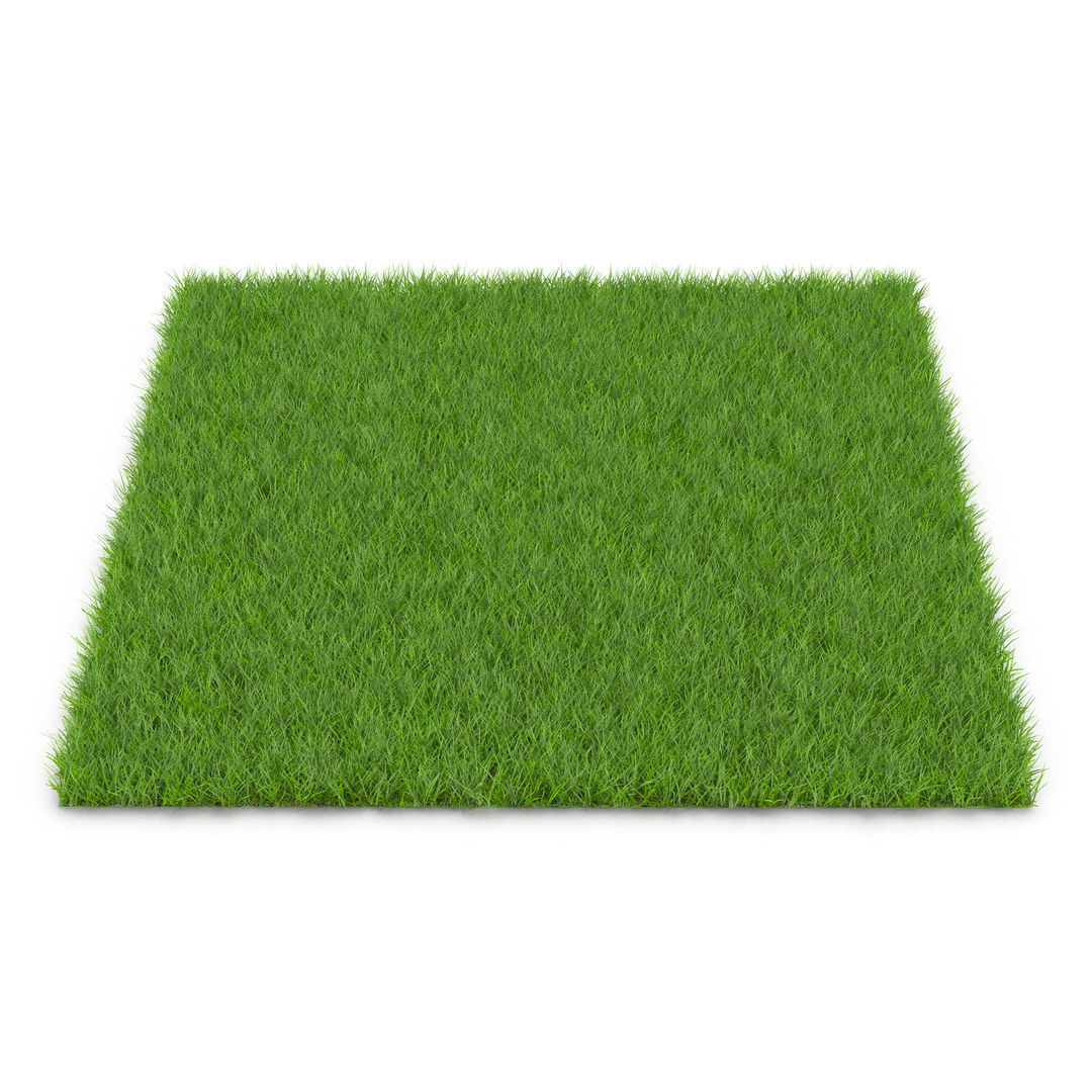GRASS Low-poly 3D model_1
